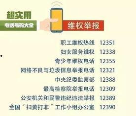 深圳爆料新闻电话号码,揭秘城市背后那些不为人知的秘密  第2张